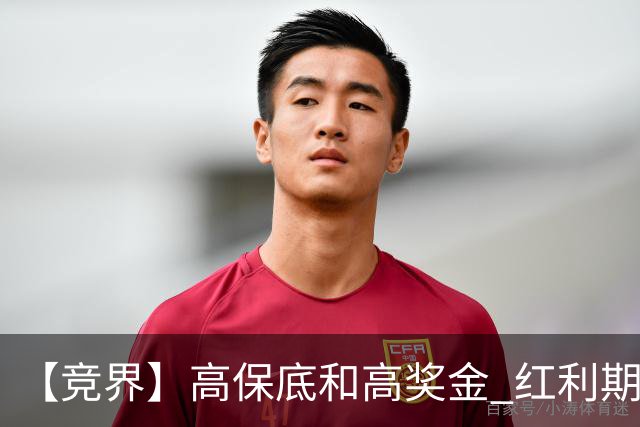 【竞界】高保底和高奖金 红利期的世界杯裁判
